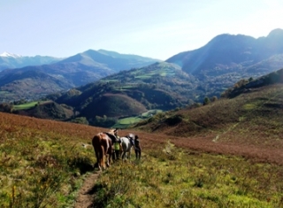  Ocio ecuestre en la granja Couhet 